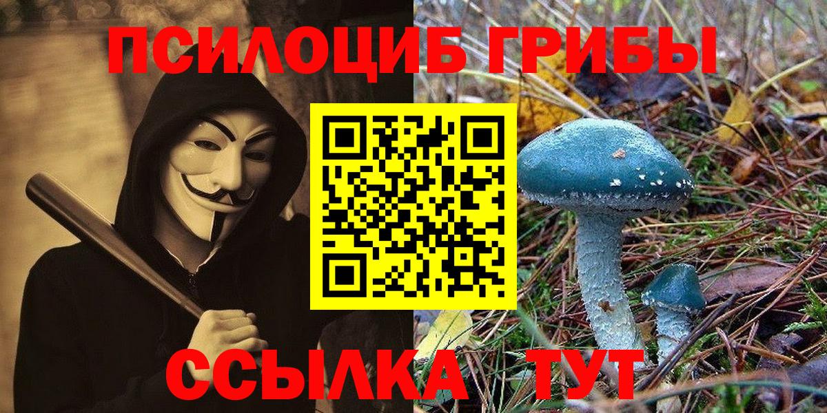 Галлюциногенные грибы прущие грибы  Галлюциногенные грибы Psilocybe  Дивногорск  Вход с VPN 